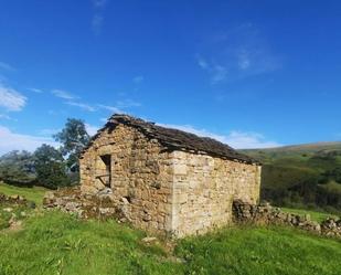 Vista exterior de Casa o xalet en venda en Selaya amb Jardí privat