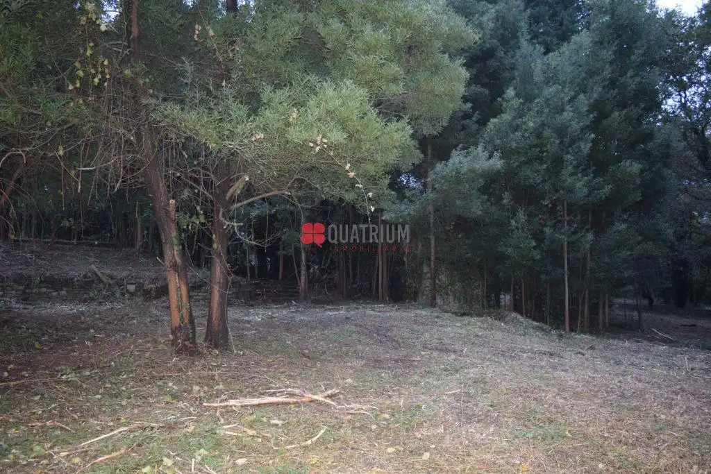 Casa o chalet en venta en Santiago de Compostela  con Jardín privado