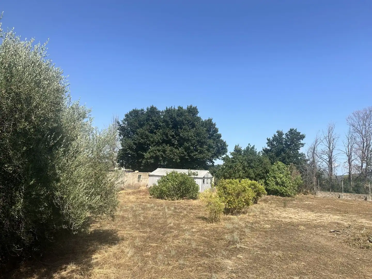 Terreno residencial en venta en Algímia de Alfara, imagen 2
