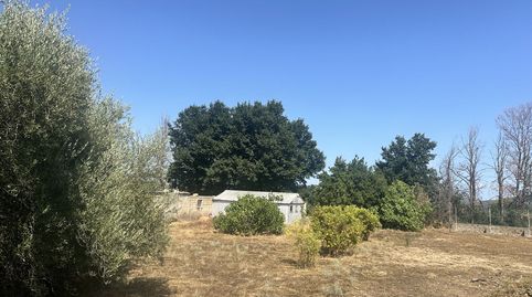 Parc.Urbana en venta en Algimia De Alfara., immagine 2