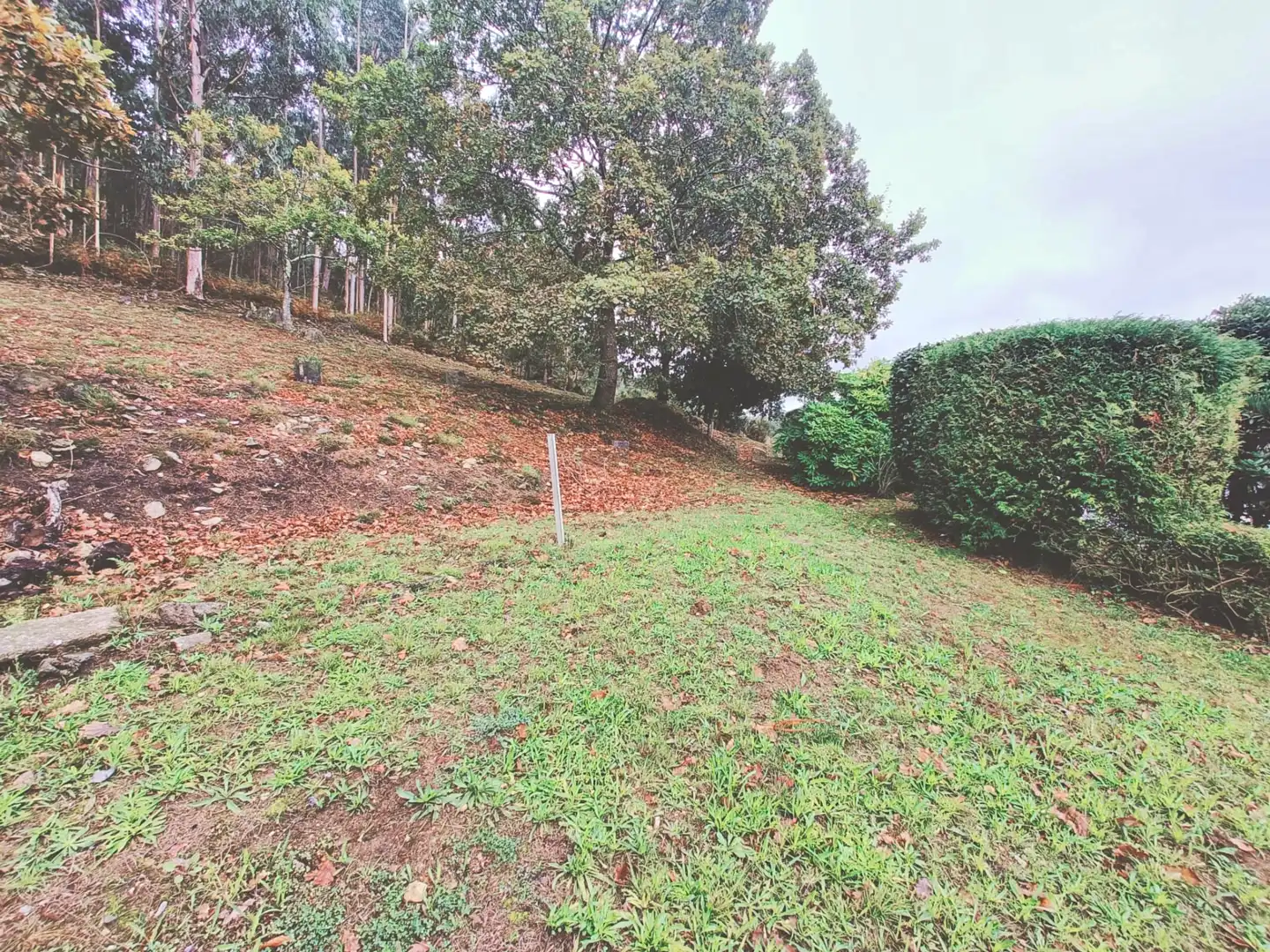 Haus oder Chalet zum Verkauf in Narón mit Heizung, Privatgarten und Ofen