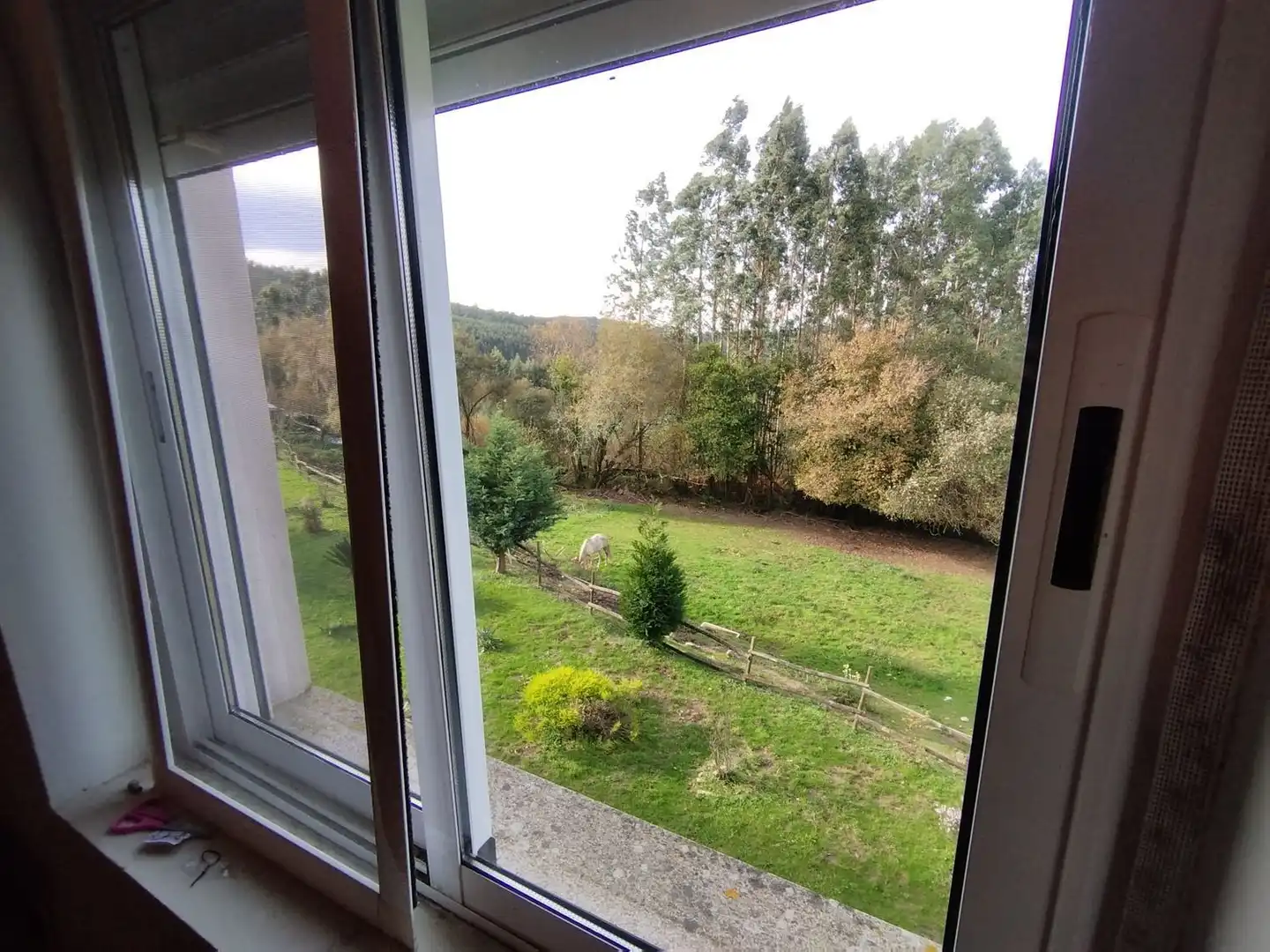 Casa rústica con jardín en venta en LG GANDARA FERREIRA, imagen 14