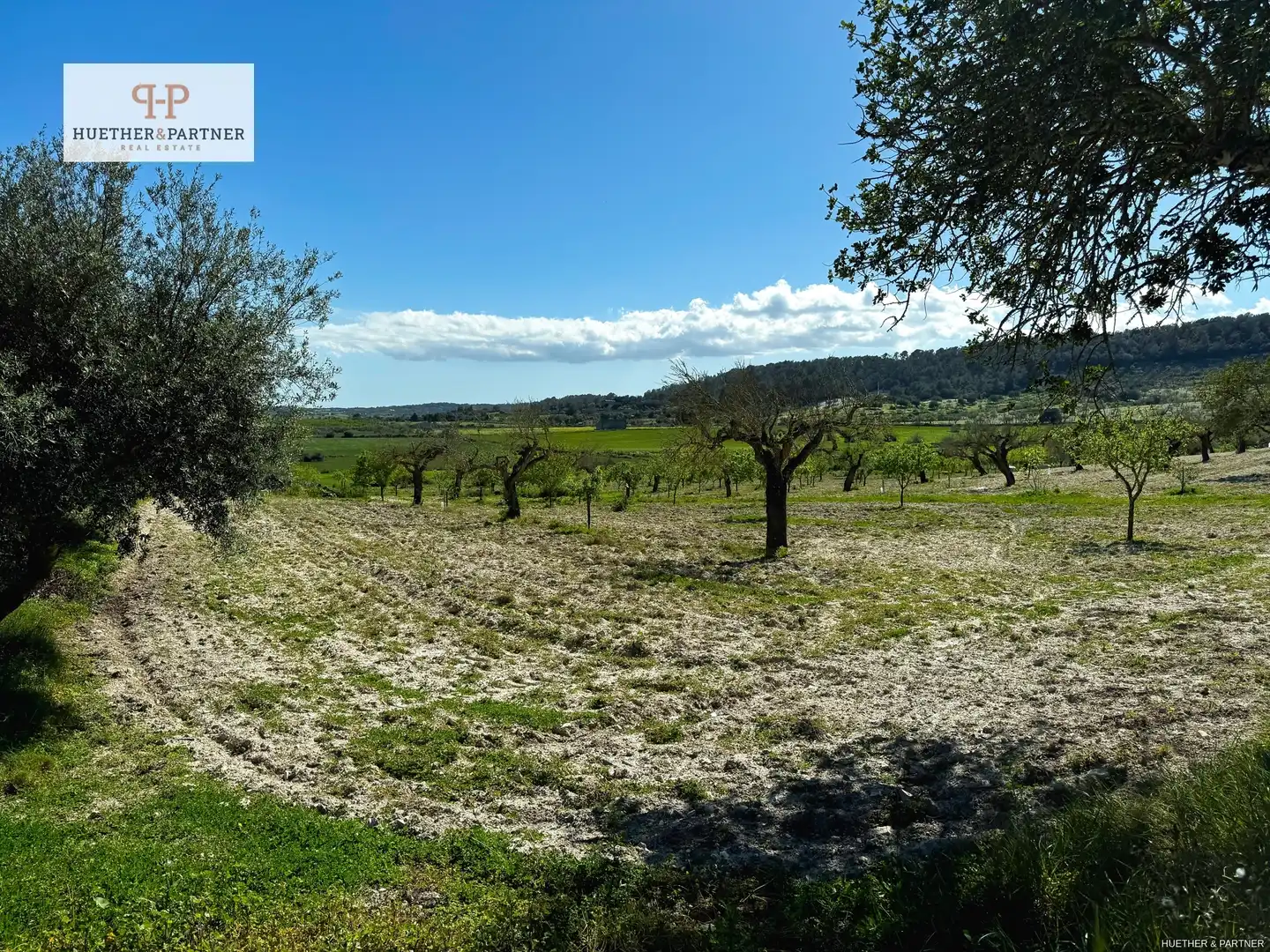 Terreno residenziale in vendita a Montuïri, imagen 4