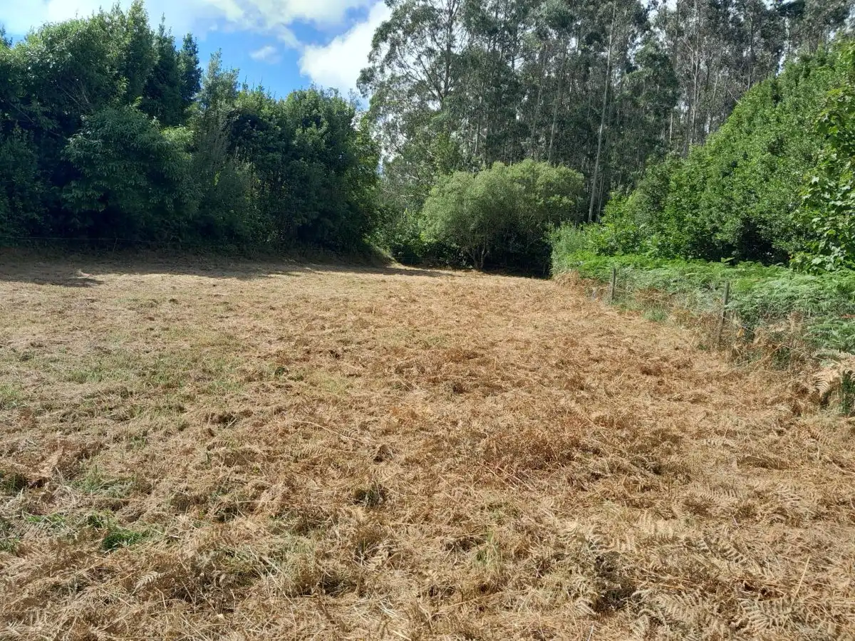 Terreni e lotti in vendita a Cerdido, imagen 7