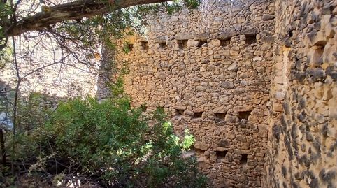 Finca rústica con maset en Arnes, immagine 4