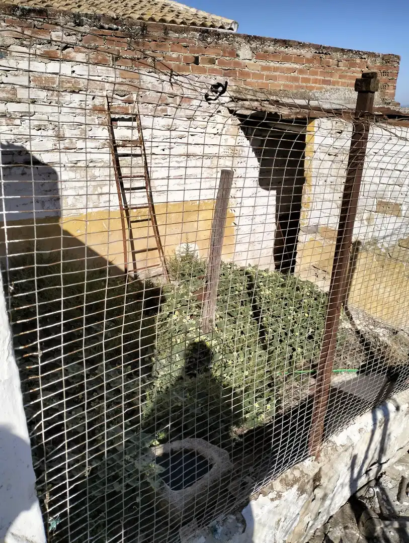 Jardí de Casa o xalet en venda en Montemayor
