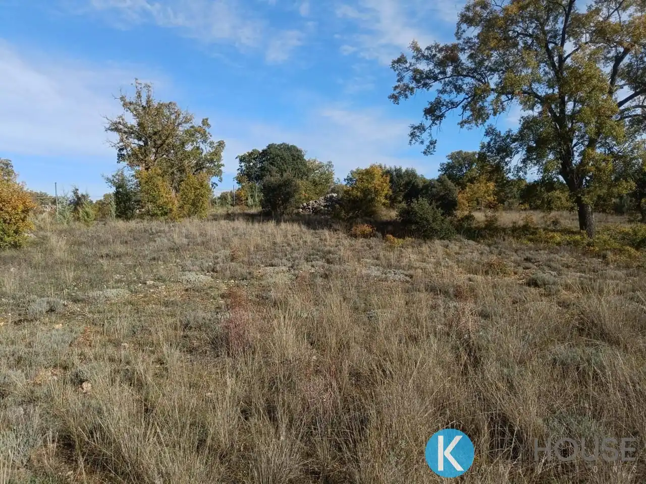 Land for sale in Pastrana