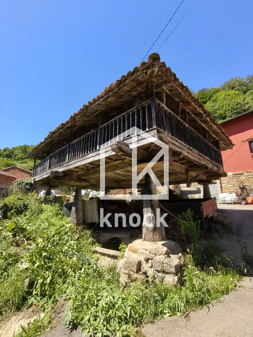 Maison à vendre à Grado - LG MOMALO, imagen 34