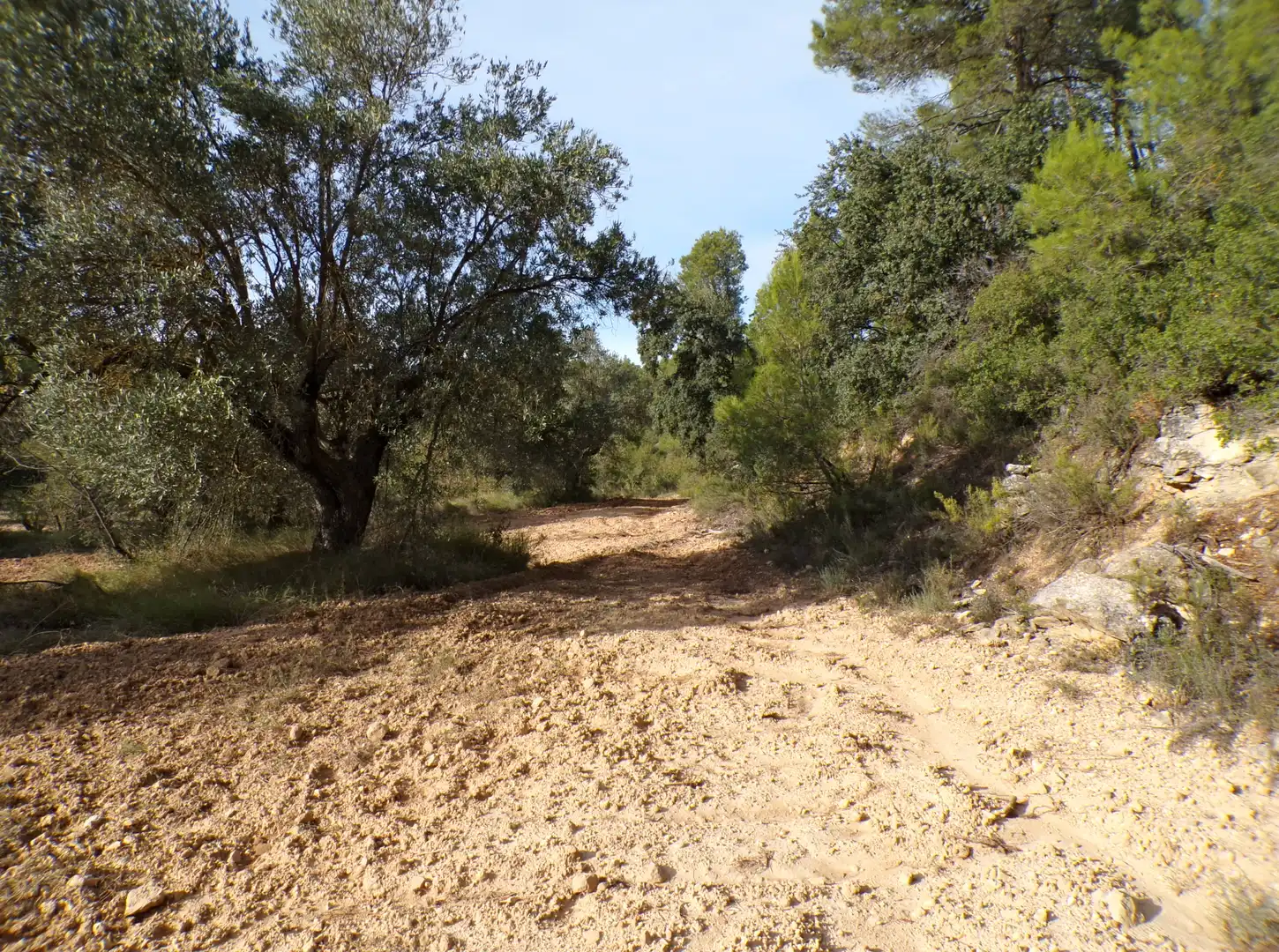 Terreni e lotti in vendita a La Fresneda, imagen 3