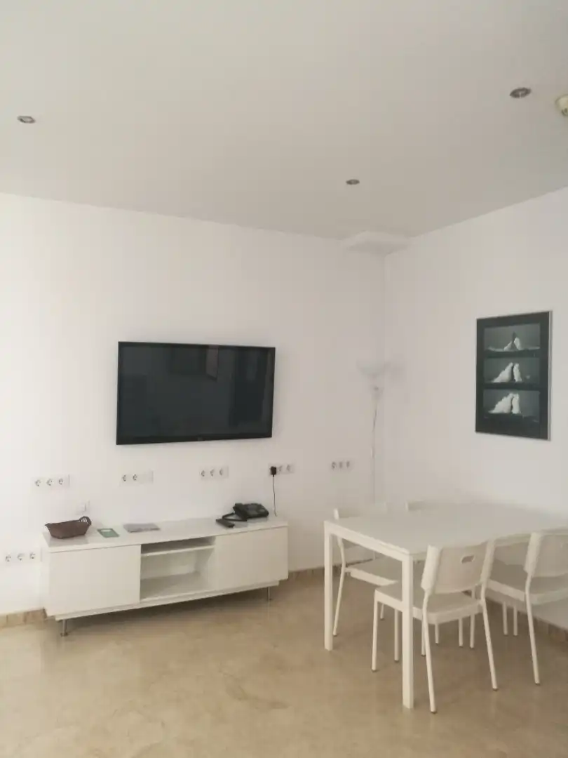 Sala d'estar de Apartament de lloguer en Sevilla amb Aire condicionat, Moblat i Rentadora