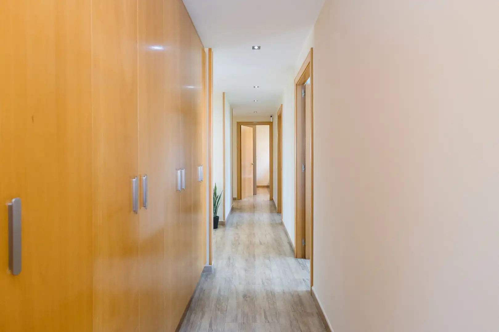 House with pool for sale in Sant Andreu de la Barca, imagen 40
