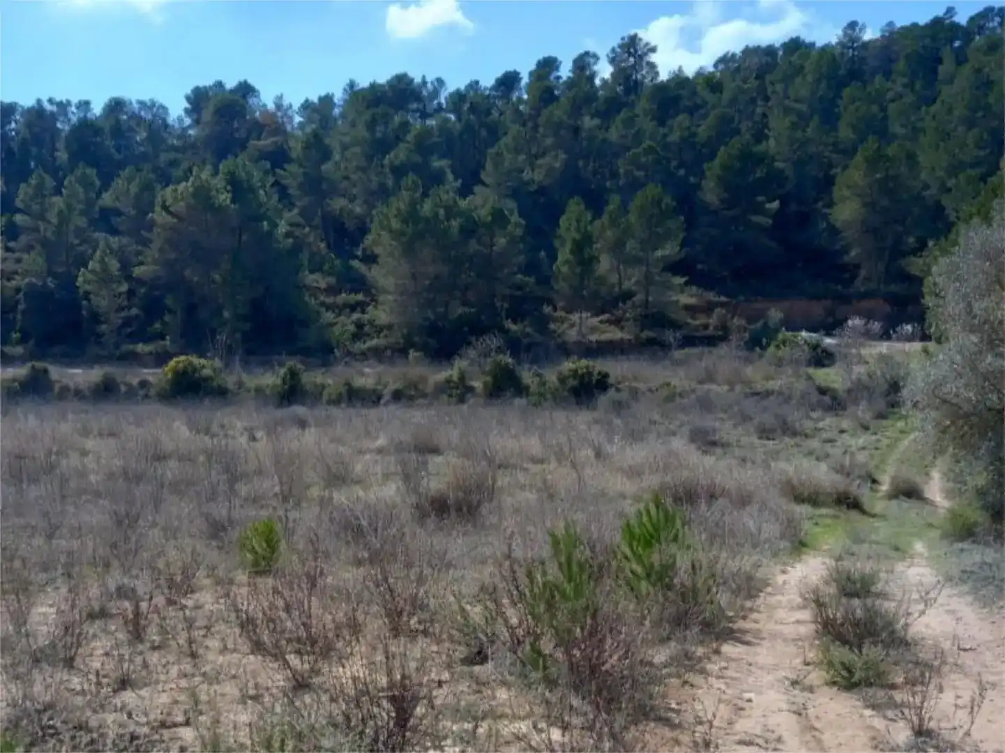 Terreno en venta en Corbera d'Ebre