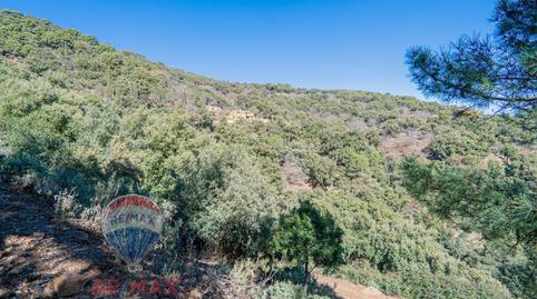 Photo 4 of Country house for sale in Camino Estercal, Jubrique, Málaga