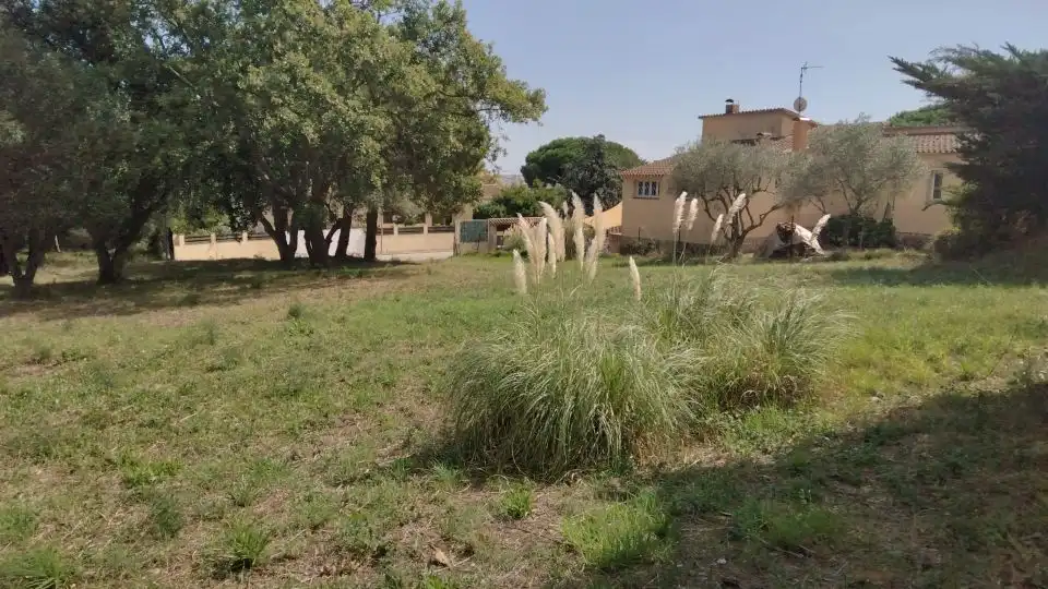 Terrenys i solars en venda a Puig Ses Forques - Torre Colomina, imagen 4