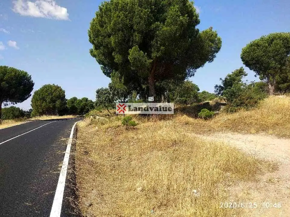 Rural land for sale in Virgen De La Nueva, imagen 6