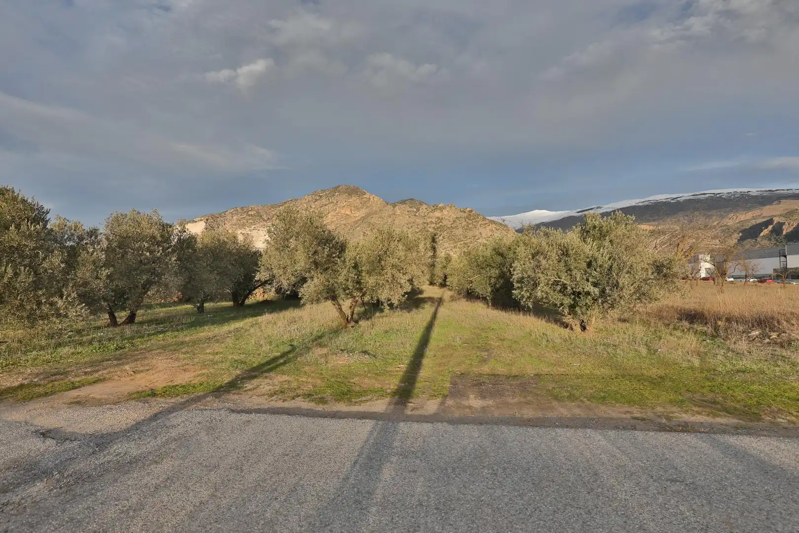 Lands and plots for sale in Nigüelas, imagen 5