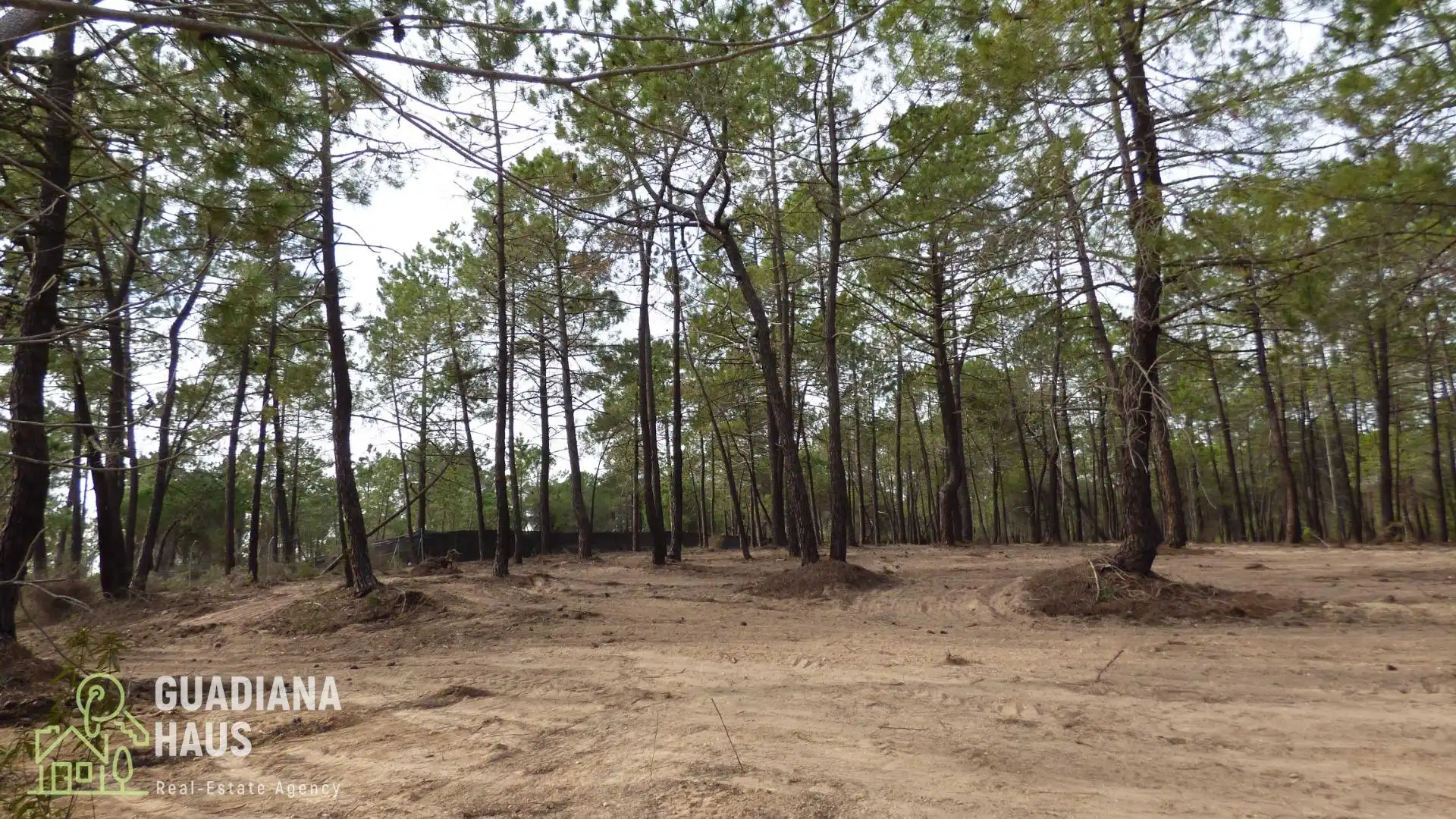 Finca rústica en venda en Villablanca amb Jardí privat i Traster