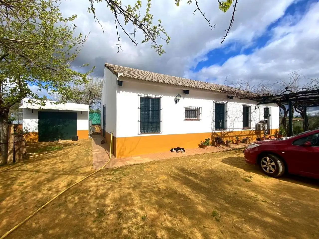 Vista exterior de Finca rústica en venta en El Viso del Alcor