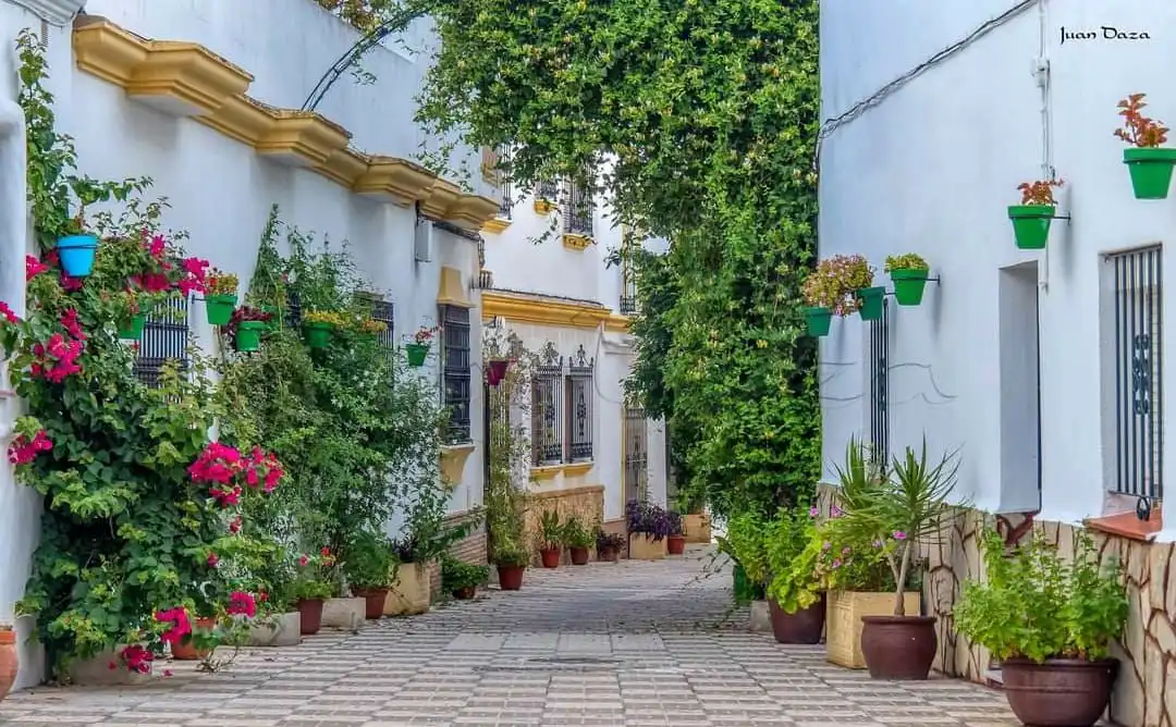 Casa con piscina in vendita a Barbate ciudad, imagen 18