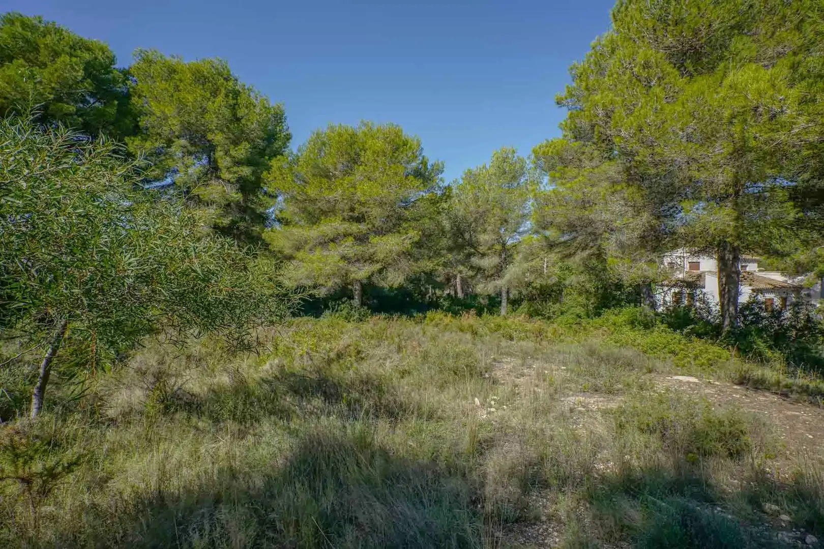 Residential land for sale in Centro ciudad, imagen 10