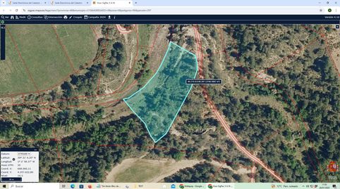 LOTE DE 3 FINCAS RÚSTICAS SITUADA EN REQUENA