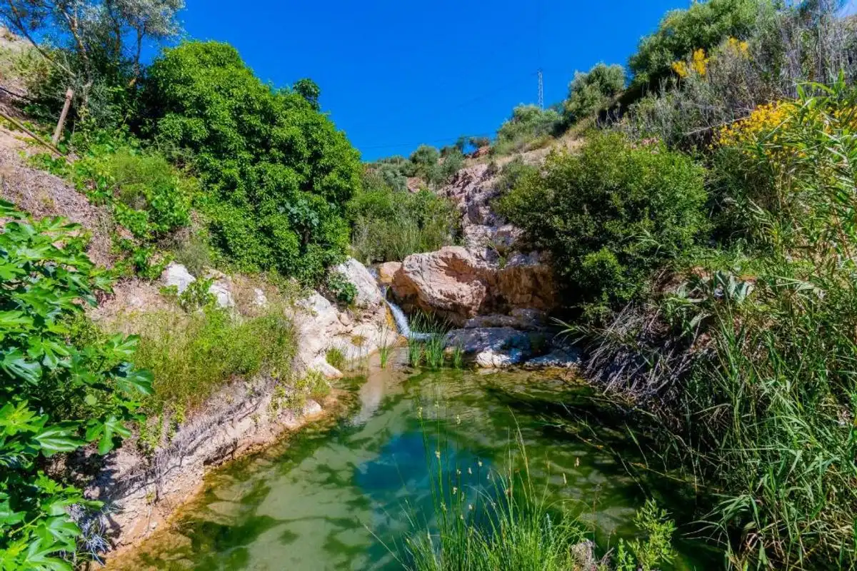 Casa rústica con piscina en venta en MA-901, imagen 17