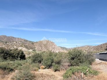 Terreno rustico in vendita a Berja