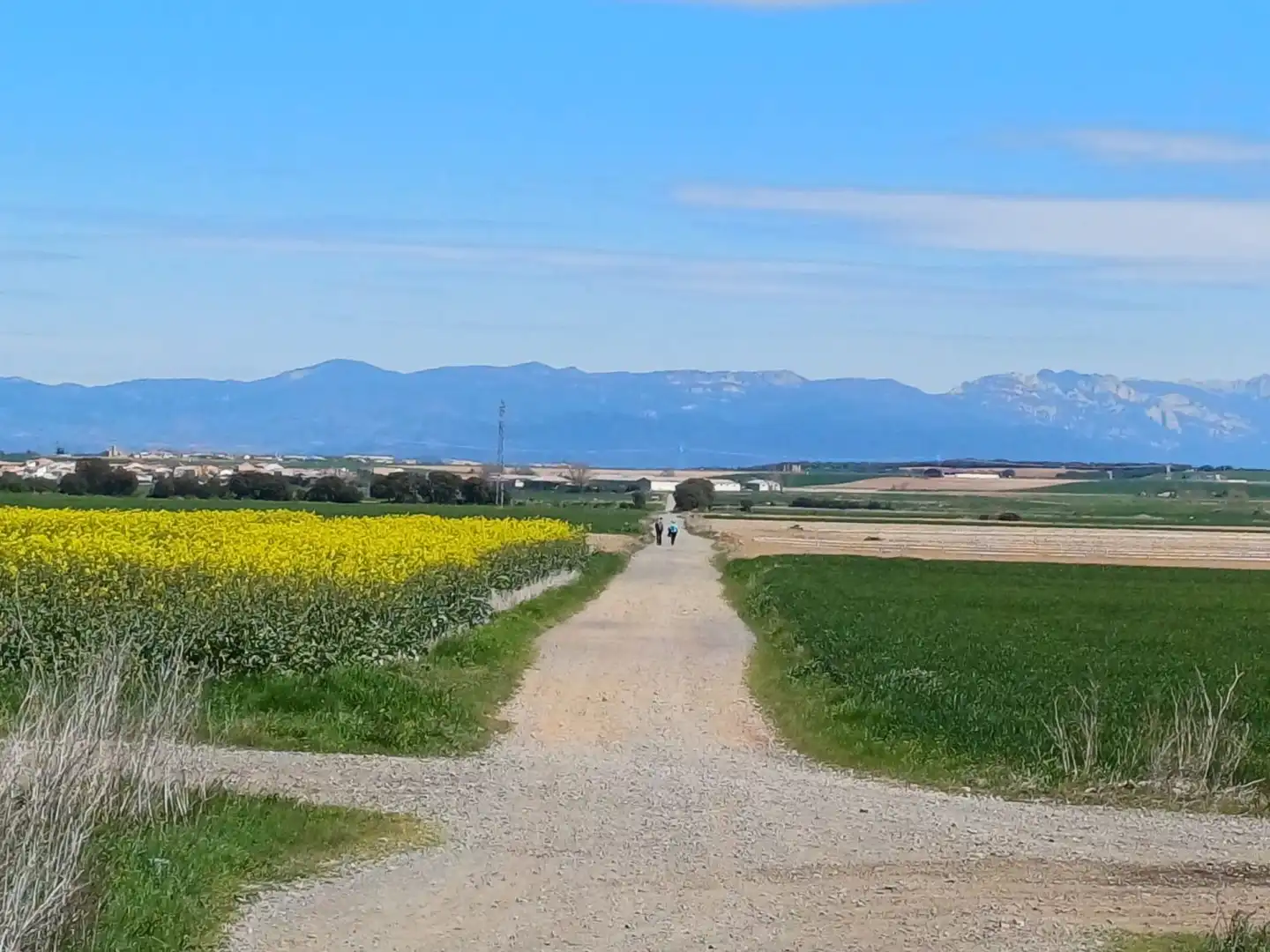 Exterior view of Country homes for sale in Bañares, La Rioja