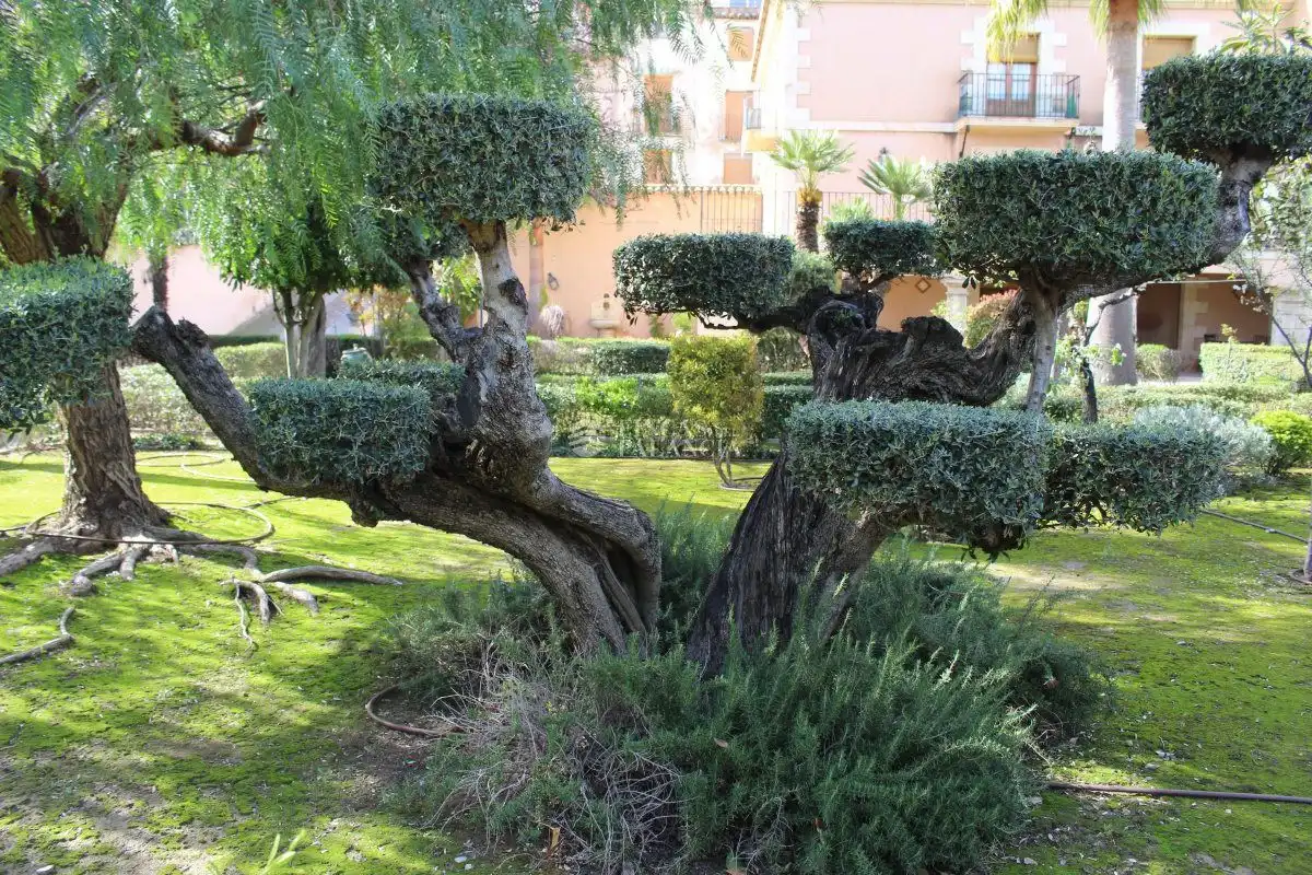 Jardí de Casa o xalet en venda en Segorbe amb Calefacció, Jardí privat i Terrassa