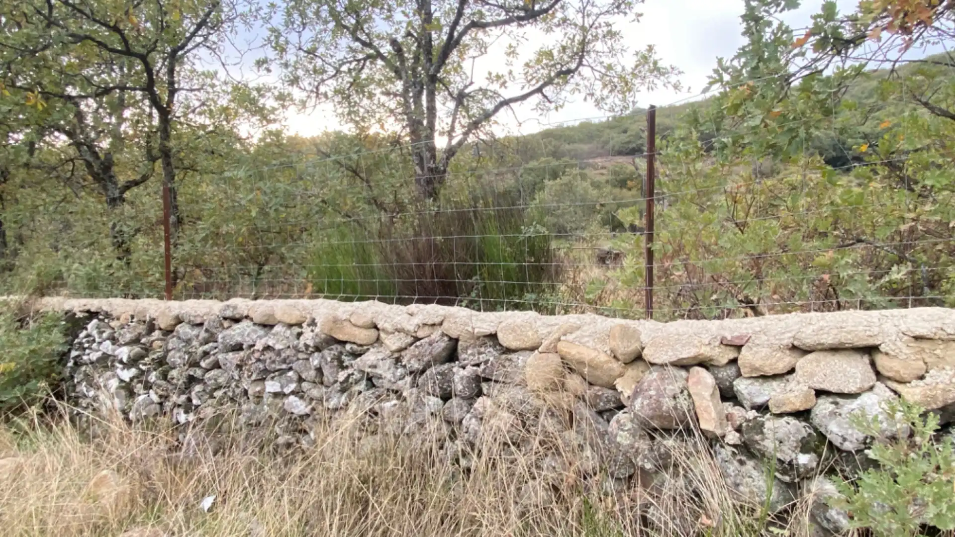 Terreni e lotti in vendita a Gargüera, imagen 13