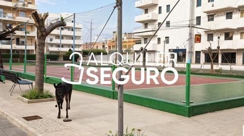 Photo 4 of Study to rent in Del Papá Luna, Costa Sur, Castellón