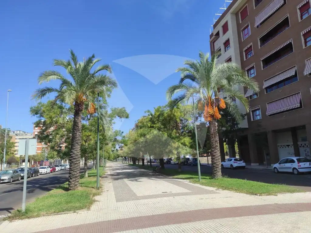 Gewerbefläche zur Miete in Calle Eugenio García Estop, imagen 9