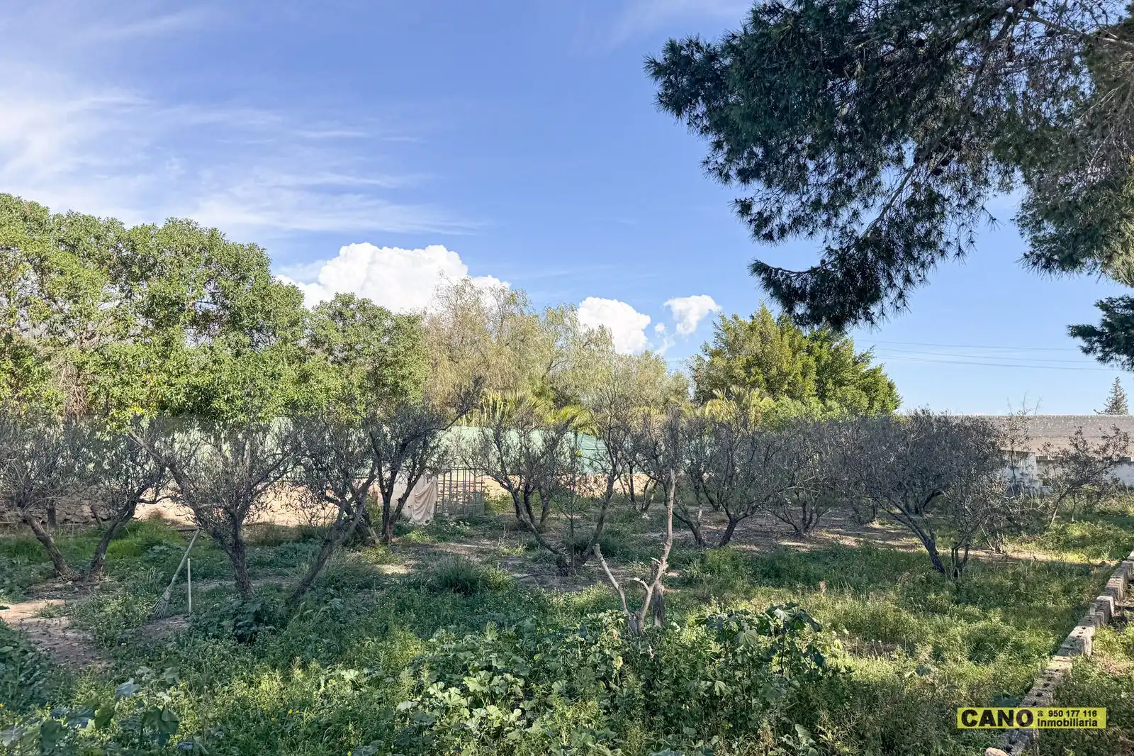 Casa o chalet en venta en Níjar con Piscina