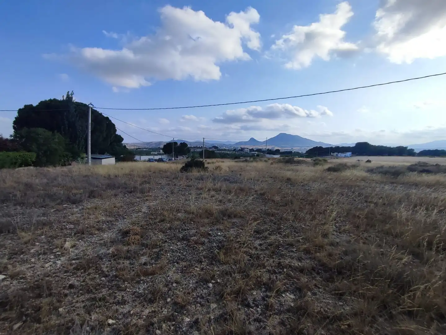 Residential land for sale in Sax, imagen 8