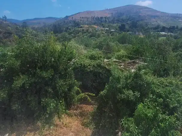 Casa o chalet en venta en Quiroga con Jardín privado, Trastero y Amueblado