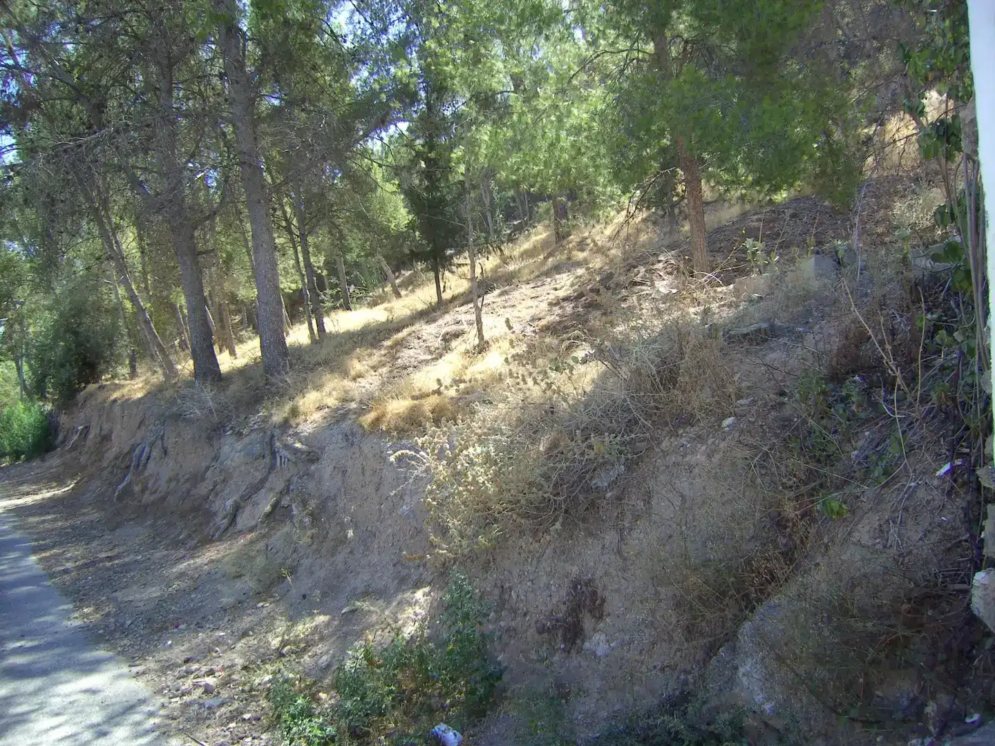 Terreno en venta en Pedanías Este