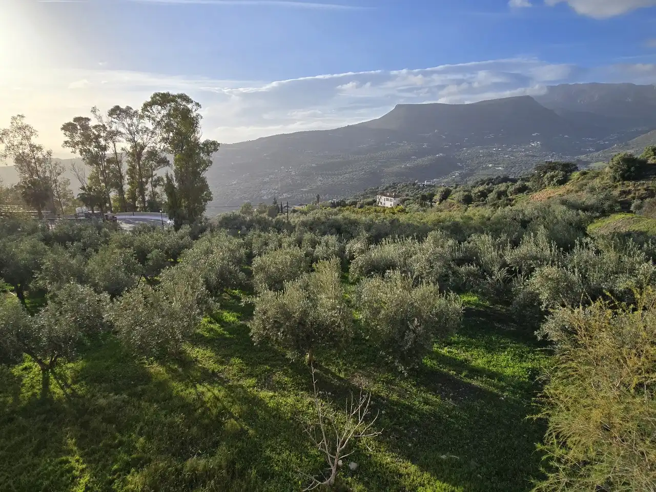 Casa rústica en venda a Alcaucín, imagen 5