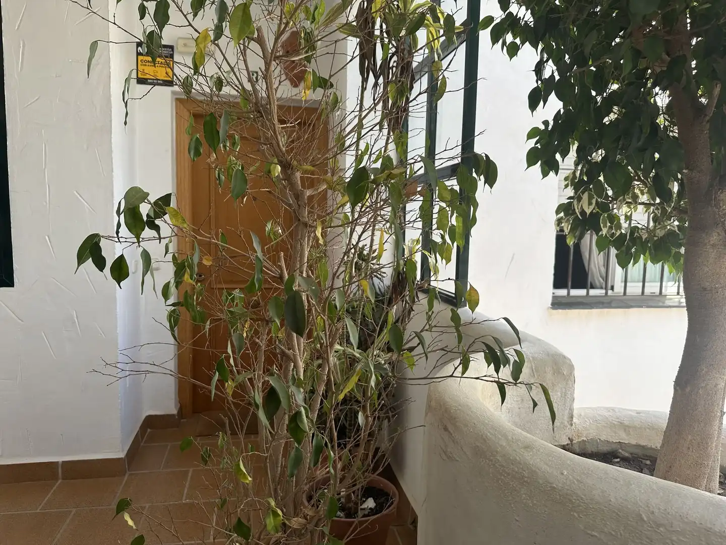 Apartment mit Pool zum Verkauf in Calle Estena 5, imagen 12