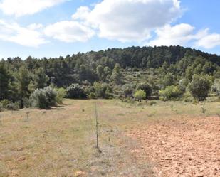 Land for sale in Fórnoles