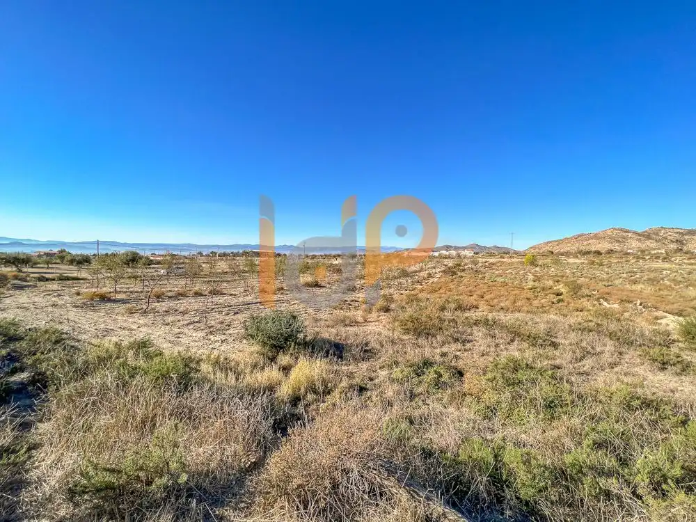 Terrain rustique à vendre à Huércal-Overa, imagen 3