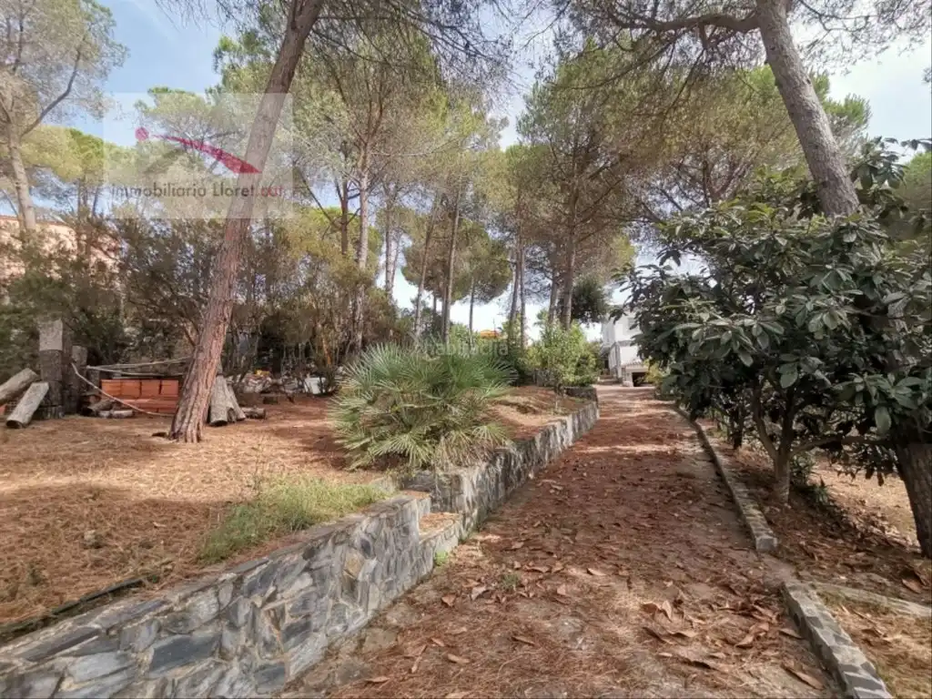 Maison avec piscine à vendre à Condado del Jaruco - Puigventós, imagen 50