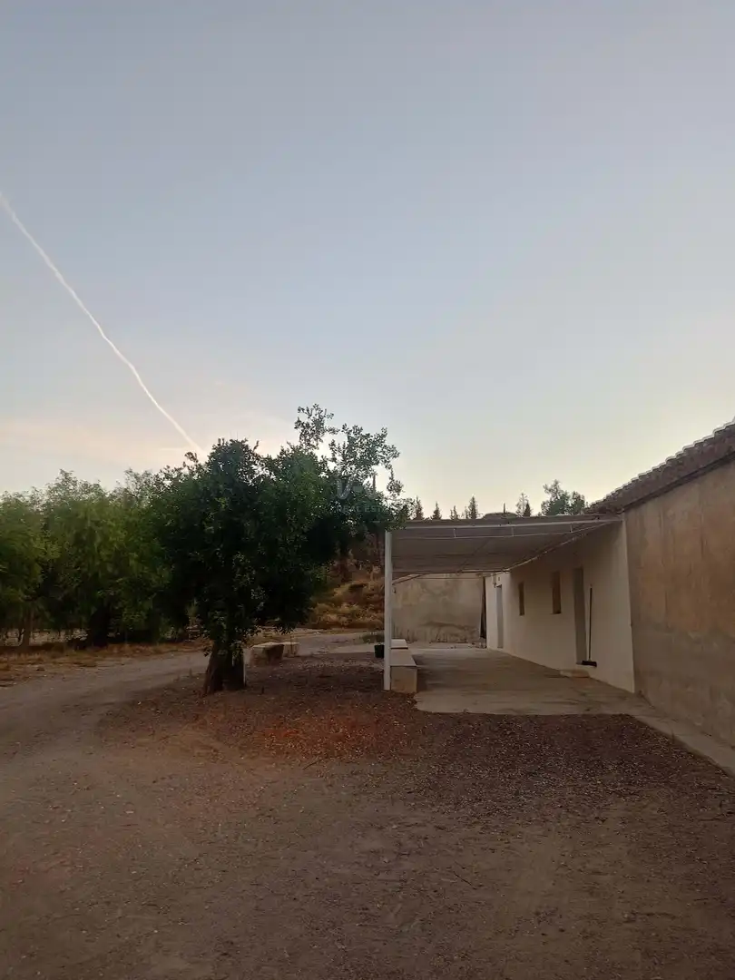 Exterior view of Country homes for sale in Lorca