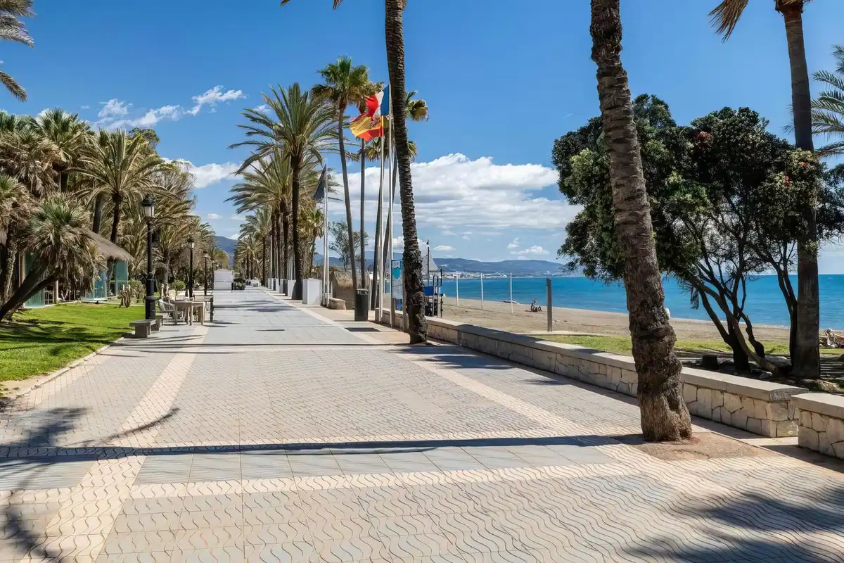 Vista exterior de Local en venda en Marbella