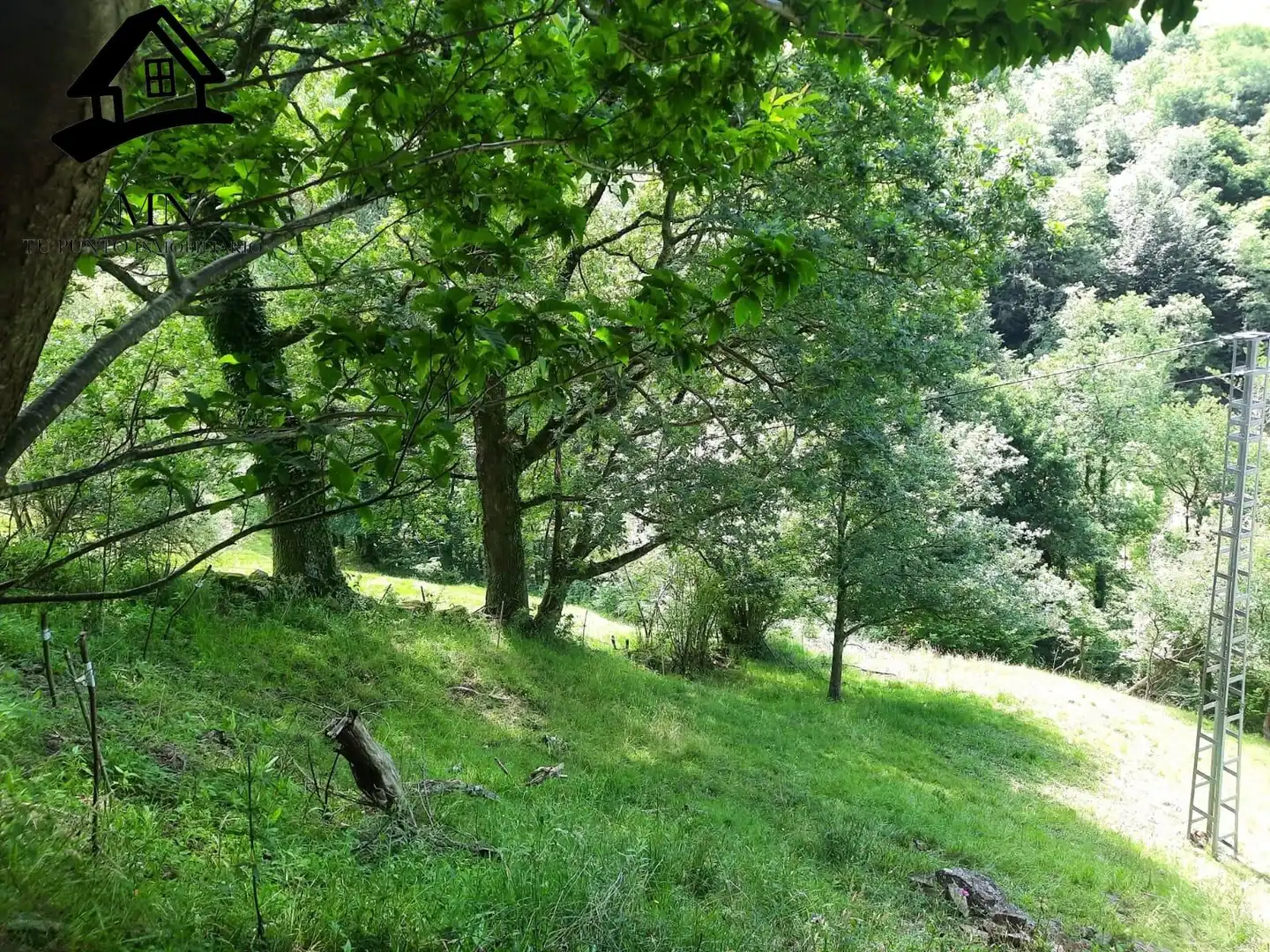 Country homes for sale in Selaya