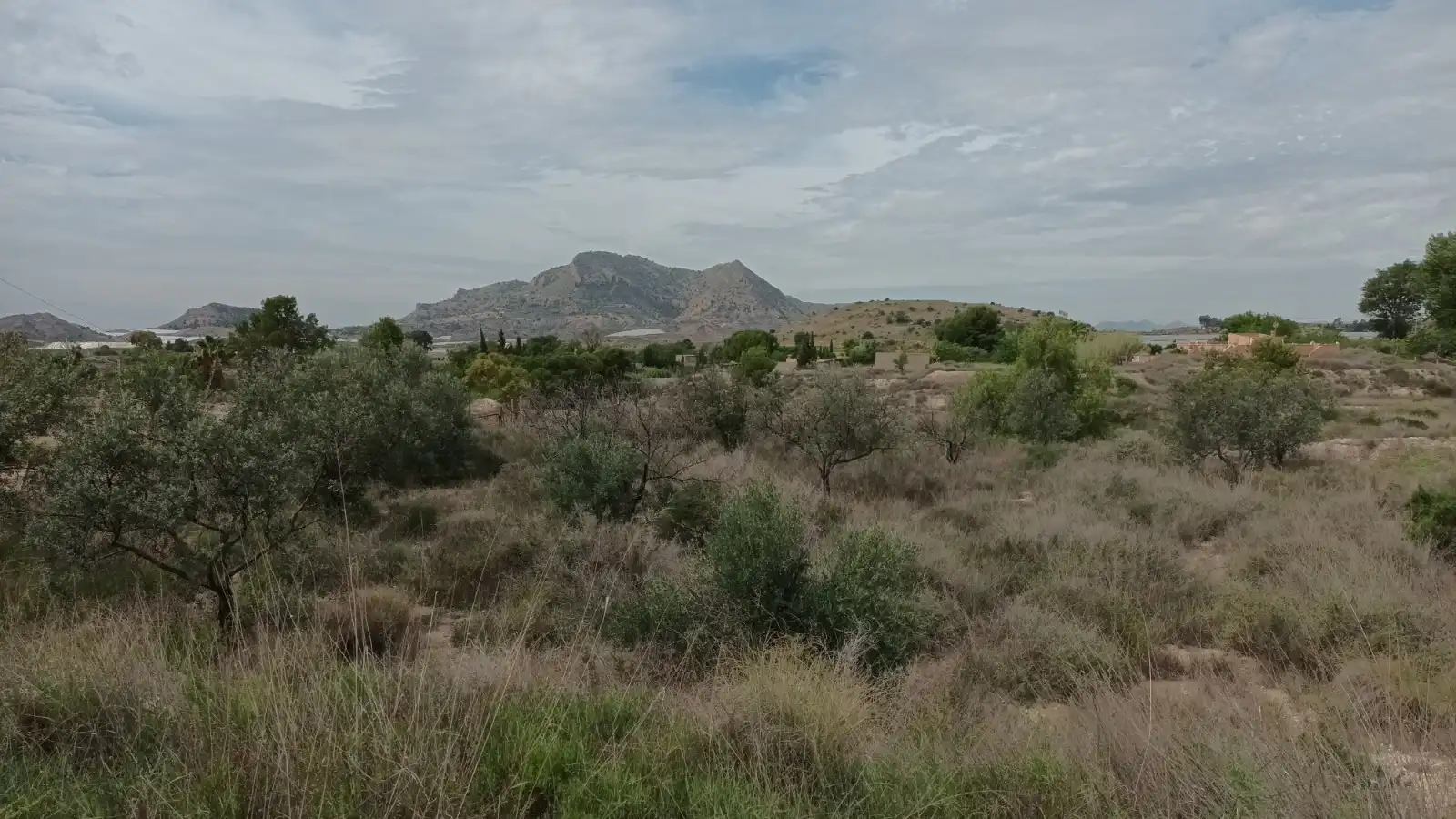 Terrain résidentiel à vendre à Verdegas, imagen 9