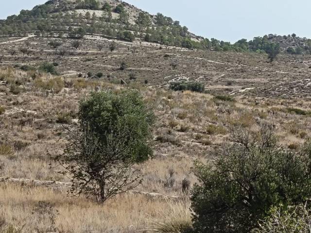 Terreno residencial en Venta en Moralet