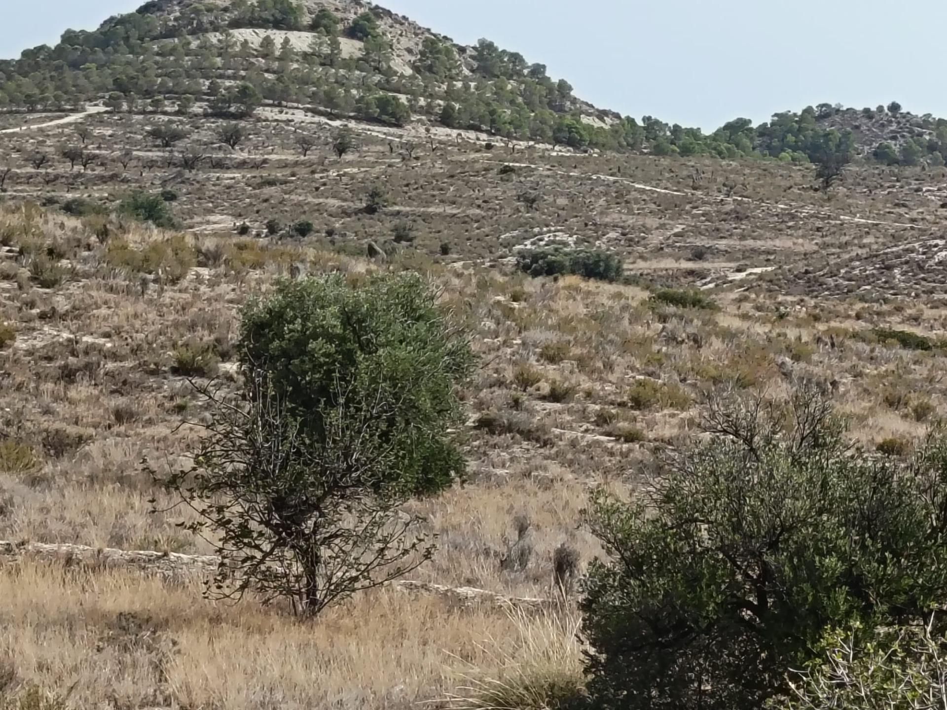 Residencial en venta en Alicante / Alacant