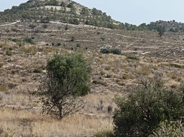 Terreny residencial en venda a Partidas de Alicante
