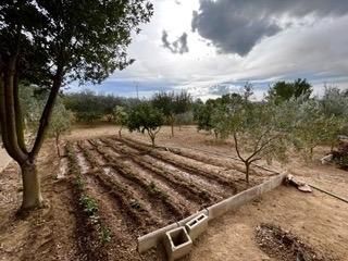 Jardí de Finca rústica en venda en Calvià