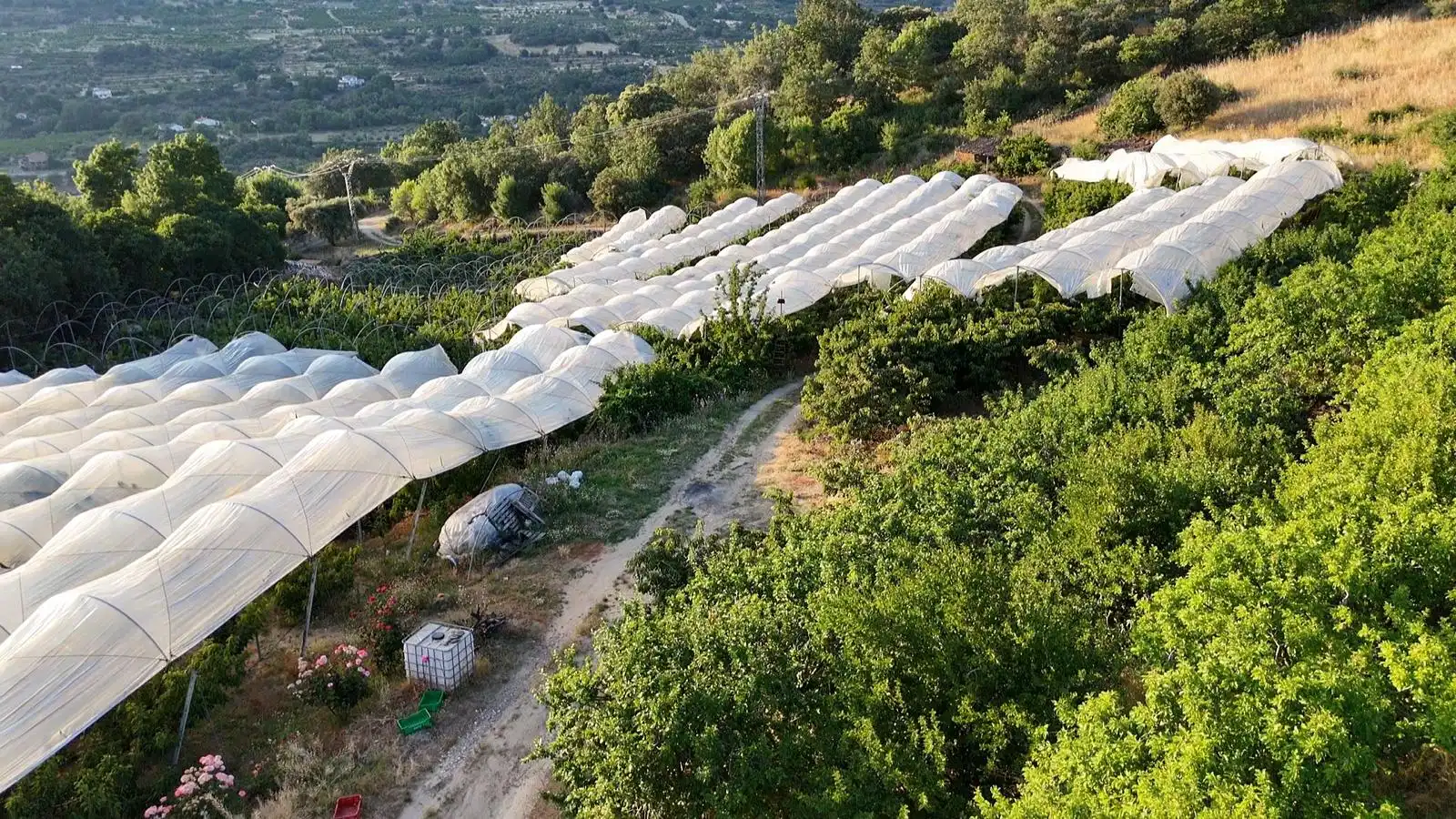 Terreni e lotti in vendita a Casas del Castañar, imagen 5